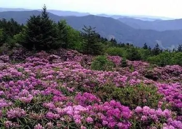 5745db0854175.image