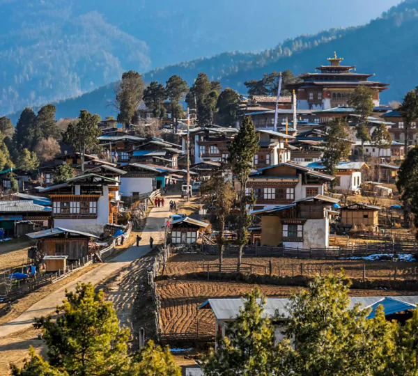 Phobjikha